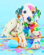 Colorful Dalmatian Paint by numbers