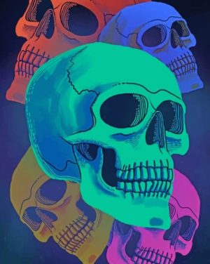 Colorful Skulls Paint By Numbers