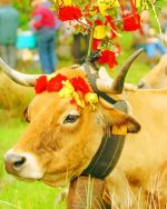 Cow And Flowers paint by numbers