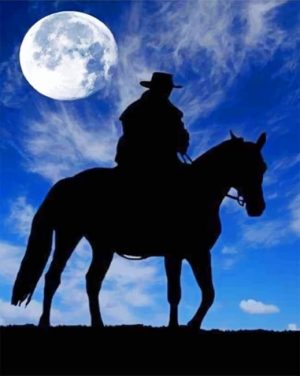 Cowboy Silhouette Paint By Numbers