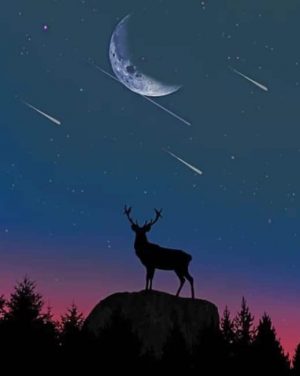 Deer Silhouette Paint by numbers