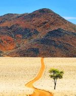 Namibia Desert Paint By Numbers