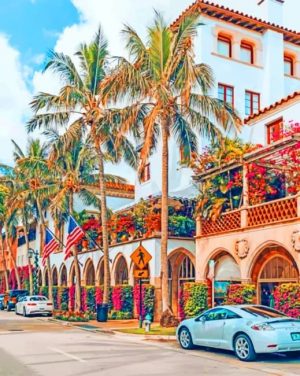 Florida City Paint By Numbers