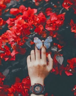 Butterfly On Hand Paint By Numbers