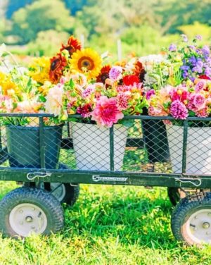 Flowers Pots Paint By Numbers