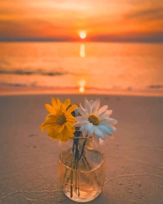 Flowers On The Beach Paint By Numbers