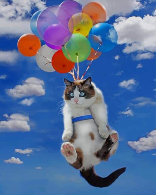 Flying Balloons Cat Paint By Numbers