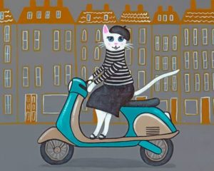 Cat On Scooter Paint By Numbers