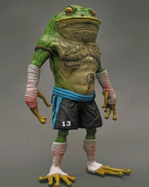 Frog Boxer Paint By Numbers