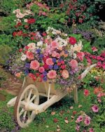 Flowers Wagon Paint By Numbers