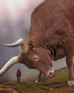 Giant Longhorn Paint By Numbers