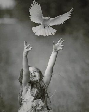 Girl With Pigeon Paint By Numbers