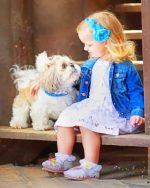 Girl With Puppy Paint By Numbers