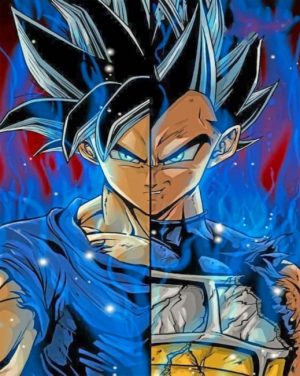 Goku Dragon Ball Z Paint By Numbers