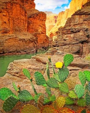 Grand Canyon National Park Paint By Numbers