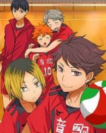 Haikyu Anime Paint By Numbers