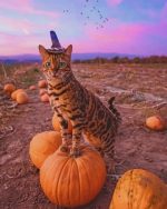 Halloween Bengal Cat Paint By Numbers