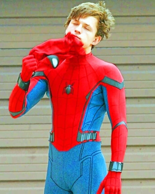 Tom Holland Spider Man Paint By Numbers