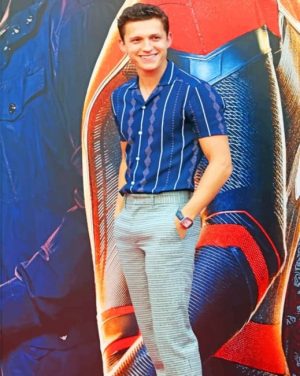 Handsome Tom Holland Paint By Numbers
