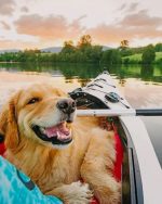 Happy Dog Paint By Numbers