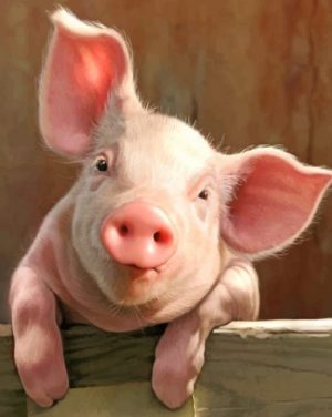 Pig Animal Paint By Numbers