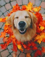 Happy Puppy Paint By Numbers