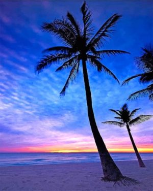 Hollywood Beach Paint By Numbers