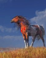 Native American Horse Paint By Numbers