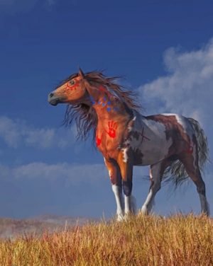 Native American Horse Paint By Numbers