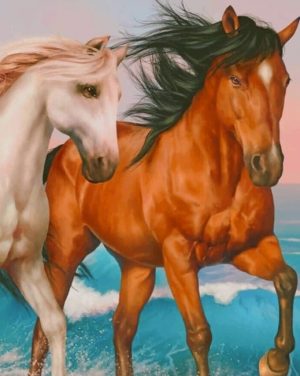 Horses Couple Paint By Numbers