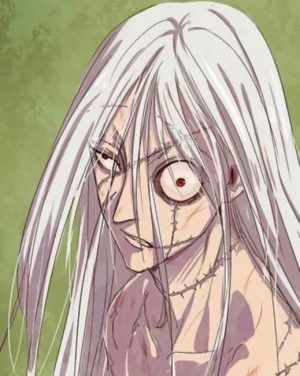 Kite Hunter X Hunter Paint By Numbers