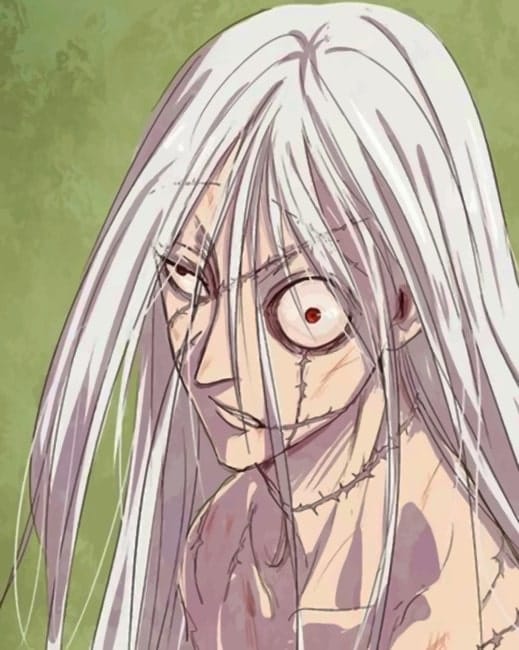 Kite Hunter X Hunter Paint By Numbers