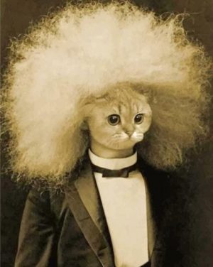 Einstein Meow Paint By Numbers