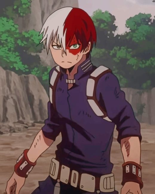 My Hero Academia Todoroki Paint By Numbers
