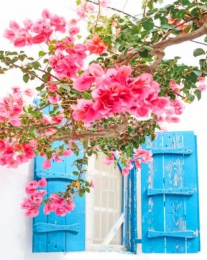 Mykonos Pink Flowers paint by numbers