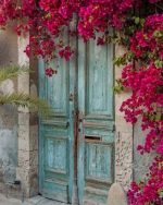 Old Doorway With Flowers Paint By Numbers