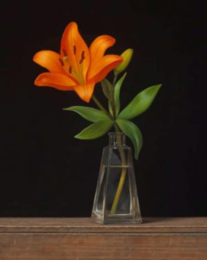 Orange Lily paint by numbers