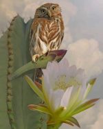 Owl On Cactus Paint By Numbers