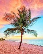 Palm Tree At Sunset Paint By Numbers