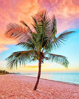 Palm Tree At Sunset Paint By Numbers