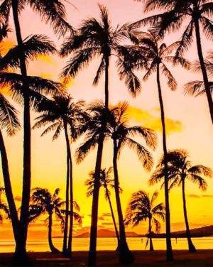 Palm Trees Silhouette Paint By Numbers