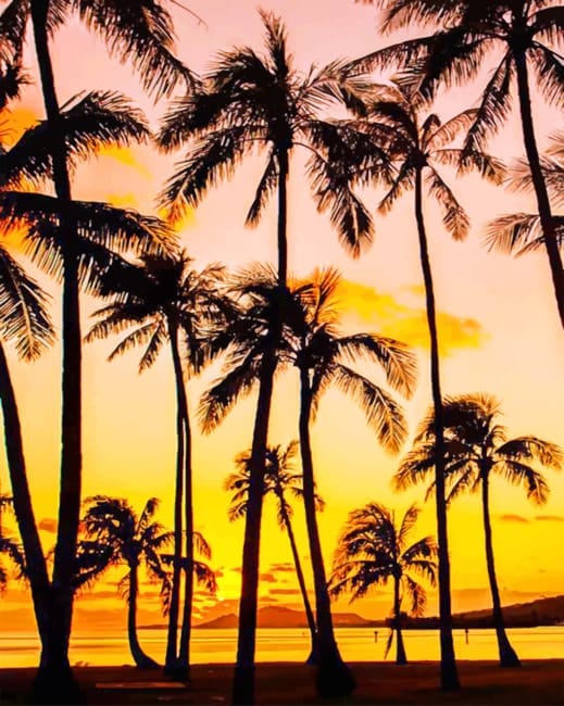 Palm Trees Silhouette Paint By Numbers