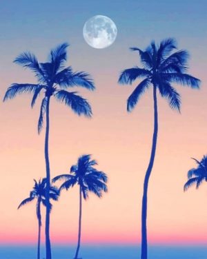 Palm Trees With Moon Paint By Numbers