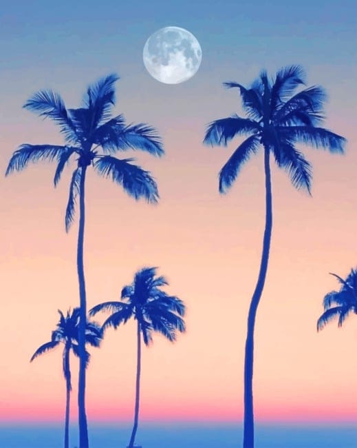 Palm Trees With Moon Paint By Numbers