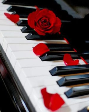 Red Rose On Piano Paint By Numbers
