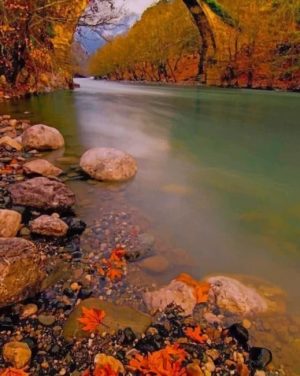 Nature Riverside Paint By Numbers