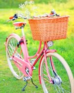Pink Bicycle With Basket Paint By Numbers