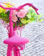 Pink Bicycle And Flowers Paint By Numbers