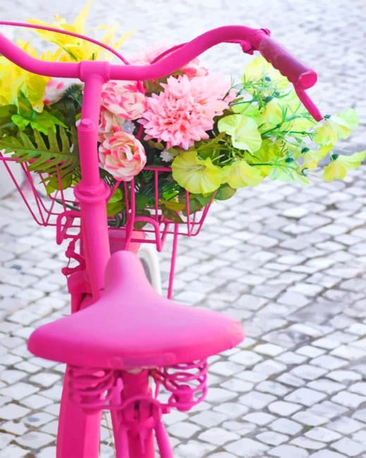 Pink Bicycle And Flowers Paint By Numbers