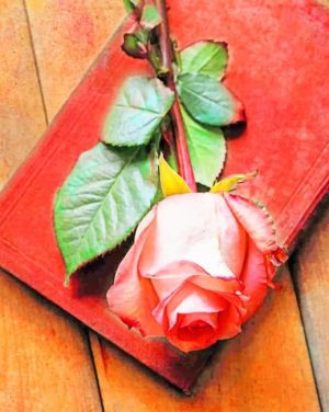 Pink Rose On Book Paint By Numbers